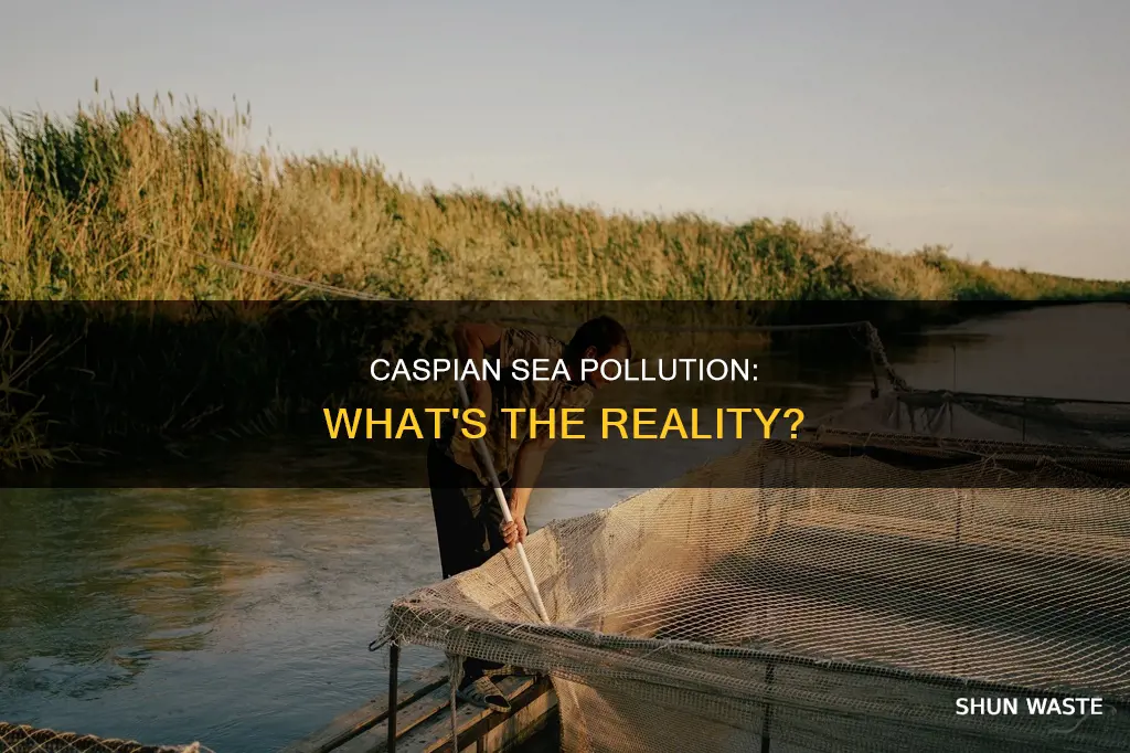 is caspian sea polluted