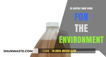 Eco-Friendly Castile Soap: A Sustainable Choice for Green Living?