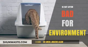 Is Cat Litter Eco-Friendly? Environmental Impact and Sustainable Alternatives