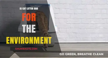 Eco-Friendly Pet Care: The Environmental Impact of Cat Litter