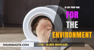 Cat Poop's Environmental Impact: A Hidden Threat to Ecosystems?