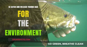 Catch and Release Fishing: Eco-Friendly Practice or Environmental Harm?