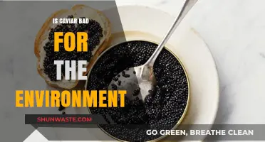 Caviar's Environmental Impact: Sustainable Luxury or Ecological Concern?