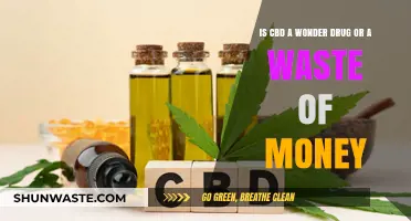 CBD: Miracle Cure or Overhyped Health Trend?