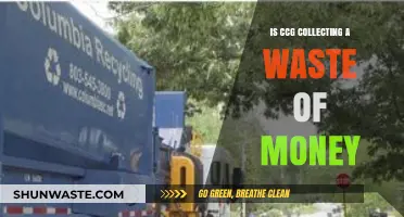 Is CCG Collecting a Waste of Money? A Critical Analysis