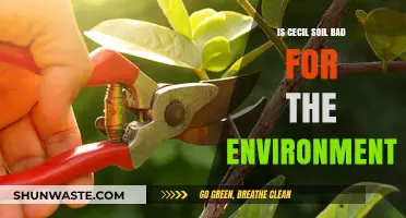 Cecil Soil's Environmental Impact: Harmful or Harmless for Our Planet?