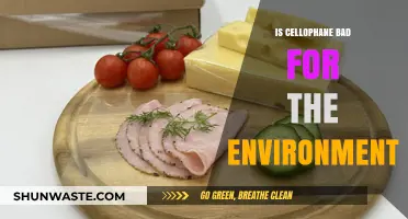 Is Cellophane Eco-Friendly? Uncovering Its Environmental Impact and Sustainability