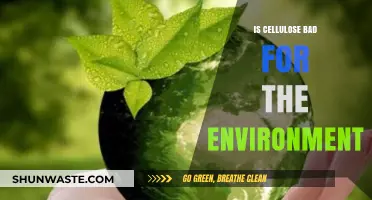Is Cellulose Eco-Friendly? Environmental Impact and Sustainability Explained