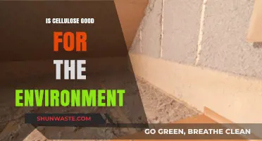 Cellulose's Eco-Friendly Impact: Sustainable Benefits for a Greener Environment