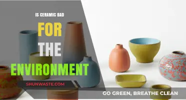 Ceramic's Environmental Impact: Sustainable Choice or Eco-Friendly Myth?