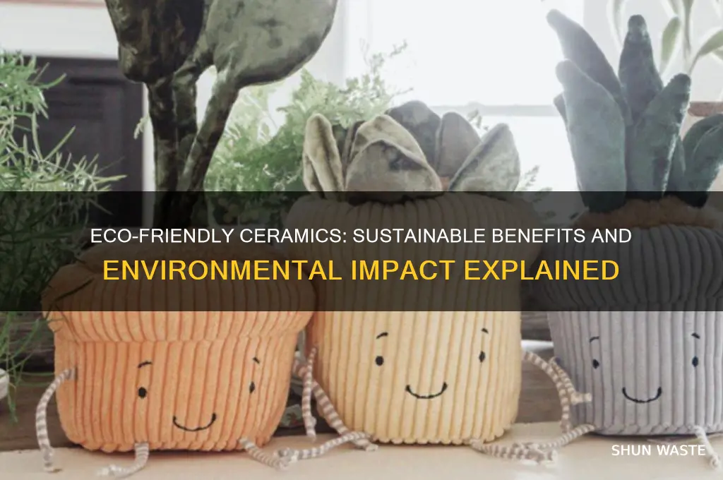 is ceramic good for the environment