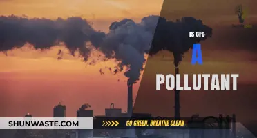CFCs: Pollutants or Not?
