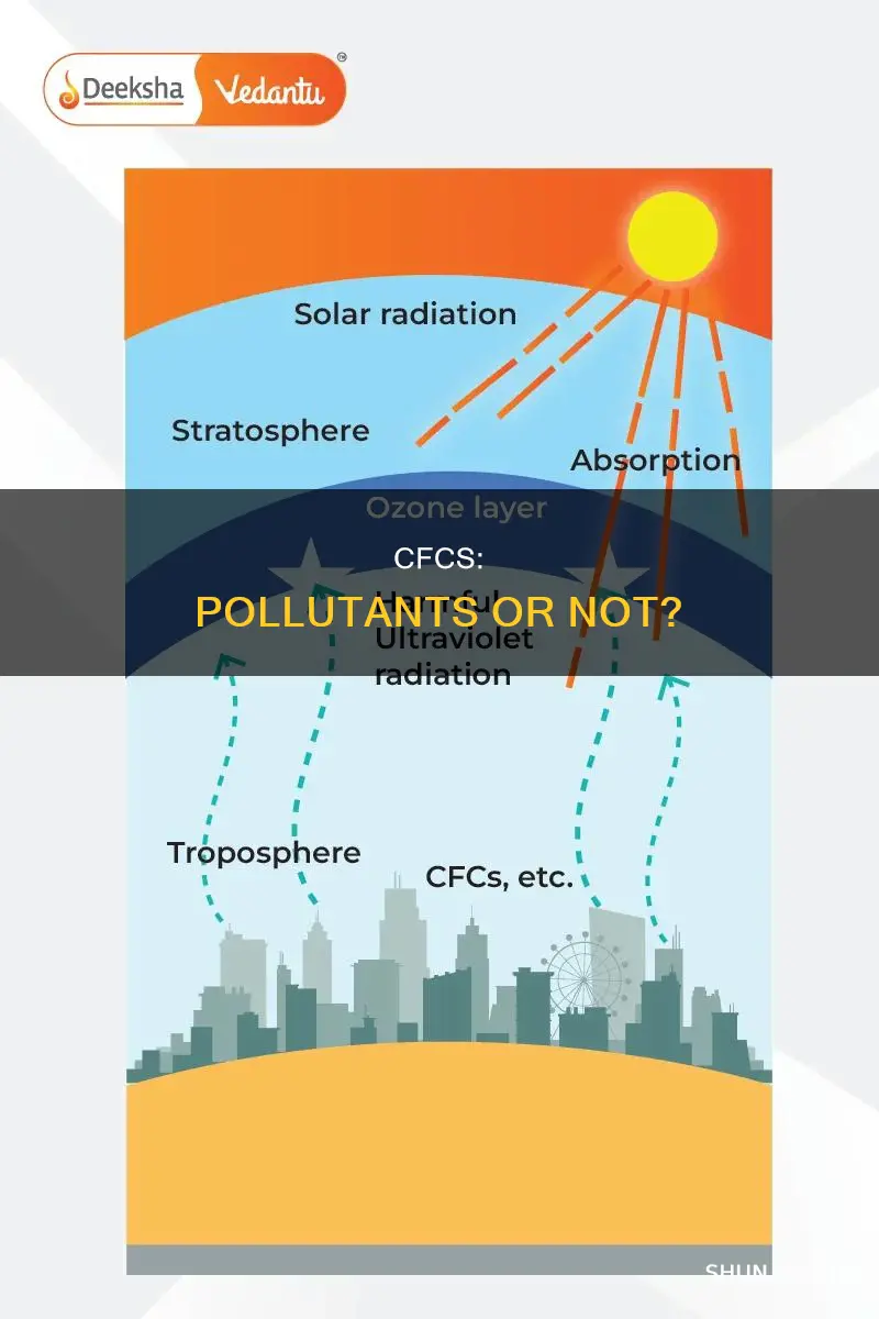 is cfc a pollutant