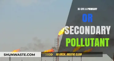 CFCs: Primary or Secondary Pollutants?