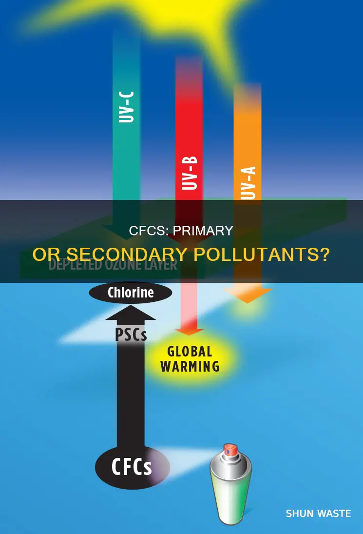 is cfc a primary or secondary pollutant