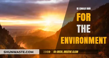 Chalk's Environmental Impact: Sustainable or Harmful to Our Planet?