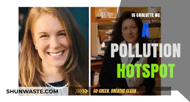 Charlotte, NC: A Pollution Hotspot?