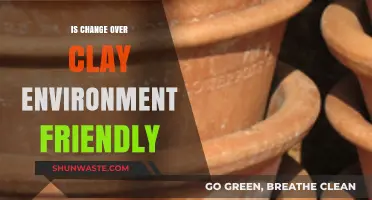 Is Change Over Clay Truly Eco-Friendly? Exploring Sustainable Alternatives