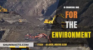 Charcoal's Environmental Impact: Sustainable or Harmful for Our Planet?