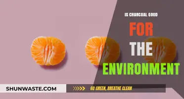Charcoal's Environmental Impact: Sustainable Fuel or Ecological Hazard?