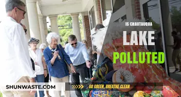 Chautauqua Lake: Is It Polluted?