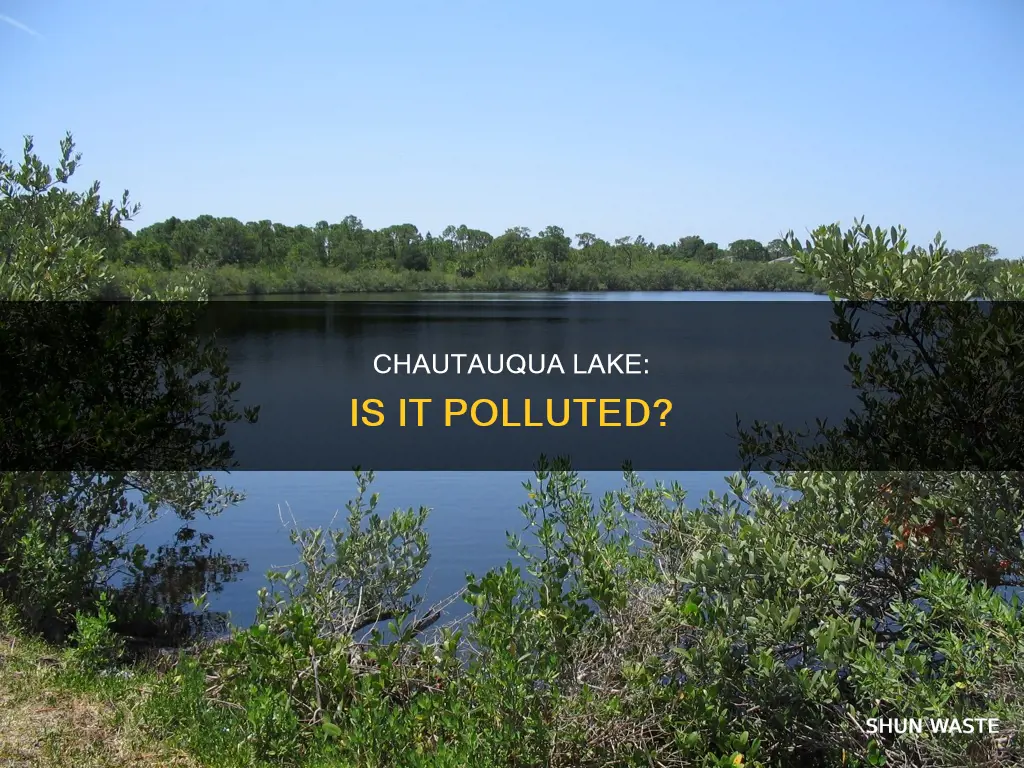 is chautauqua lake polluted