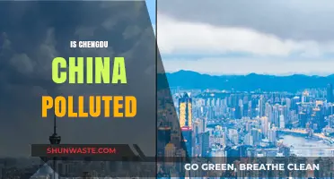 Chengdu's Pollution Problem: A Detailed Overview