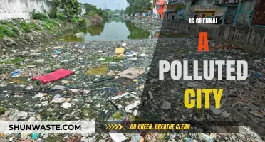 Chennai's Pollution Problem: A City in Crisis