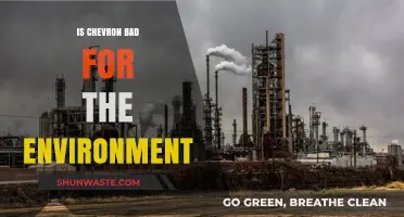 Chevron's Environmental Impact: Assessing Its Harmful Effects on Our Planet