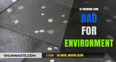 Chewing Gum's Environmental Impact: A Sticky Situation for Our Planet