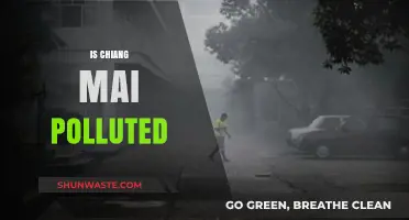 Chiang Mai's Pollution Problem: Is the Air Safe?