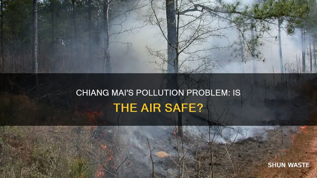 is chiang mai polluted