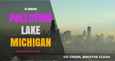 Chicago's Pollution Crisis: Lake Michigan's Future