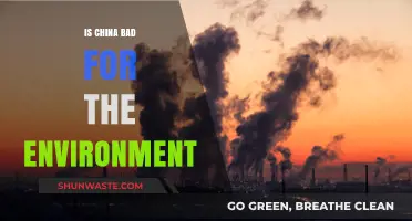 China's Environmental Impact: A Critical Analysis of Its Ecological Footprint