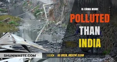 Pollution Battle: China vs India