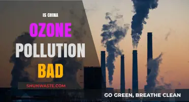 China's Ozone Pollution: A Dangerous Reality