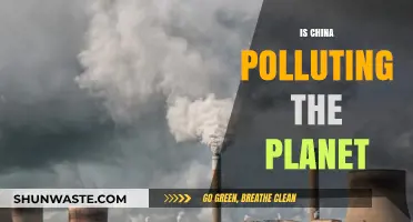 China's Pollution Problem: Global Impact