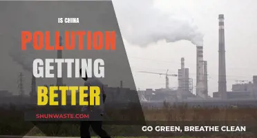 China's Pollution: Is the Tide Turning?