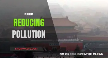 China's Pollution: A Battle for Clear Skies and Clean Water