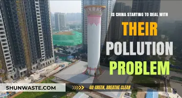 China's Pollution Problem: Are They Cleaning Up?