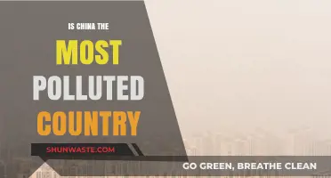 China's Pollution Crisis: Is It the Worst?