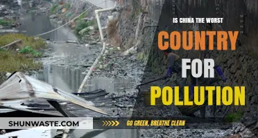 China's Pollution Crisis: Is It the Worst?