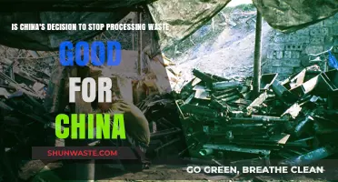 China's Waste Ban: Environmental Win or Economic Challenge?