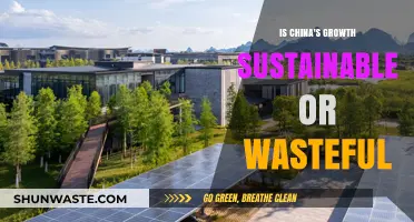 China's Economic Boom: Sustainable Development or Wasteful Growth?