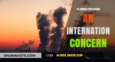China's Pollution: Global Concern, Global Impact