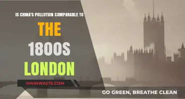 London's Dark Past: China's Pollution Problem