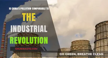 China's Pollution: A Modern Industrial Revolution Crisis?