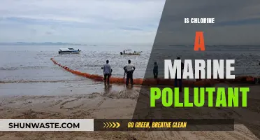Chlorine's Impact: Marine Pollutant or Not?