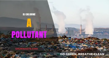Chlorine: Friend or Foe in Our Environment?