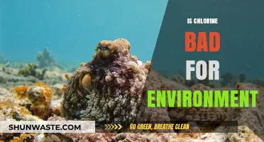 Chlorine's Environmental Impact: Harmful Effects and Sustainable Alternatives